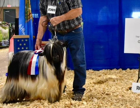 Hootnanny Acres Bobby