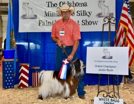 Big Sky Silkies King George
