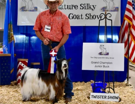 Big Sky Silkies King George