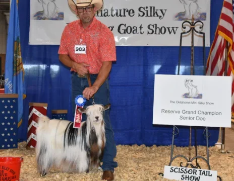 Big Sky Silkies Cherish Today