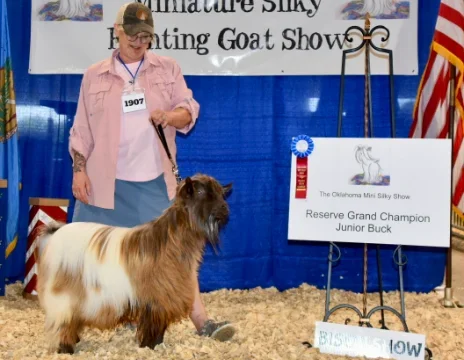DCB Farms Ghillie Dhu