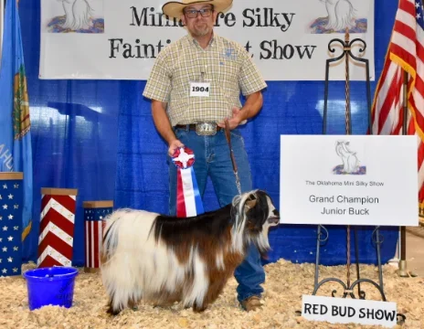 Big Sky Silkies King George