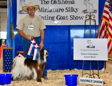 Big Sky Silkies King George