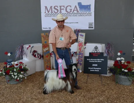 Big Sky Silkies King George