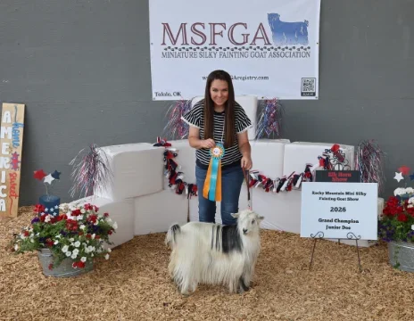 AVM Harriet