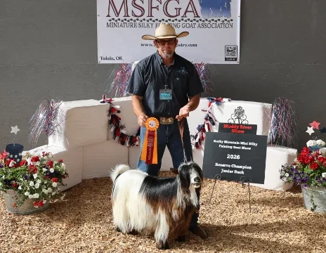 Big Sky Silkies King George