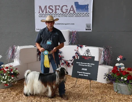Big Sky Silkies King George