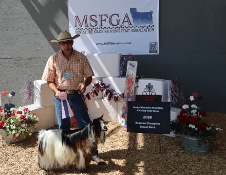 Big Sky Silkies King George