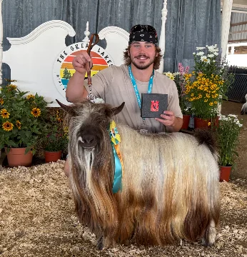 Bells Goats An App 4 That