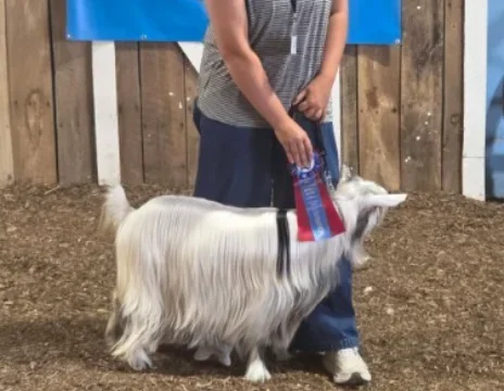 Rdreamfarms Perfect Storm