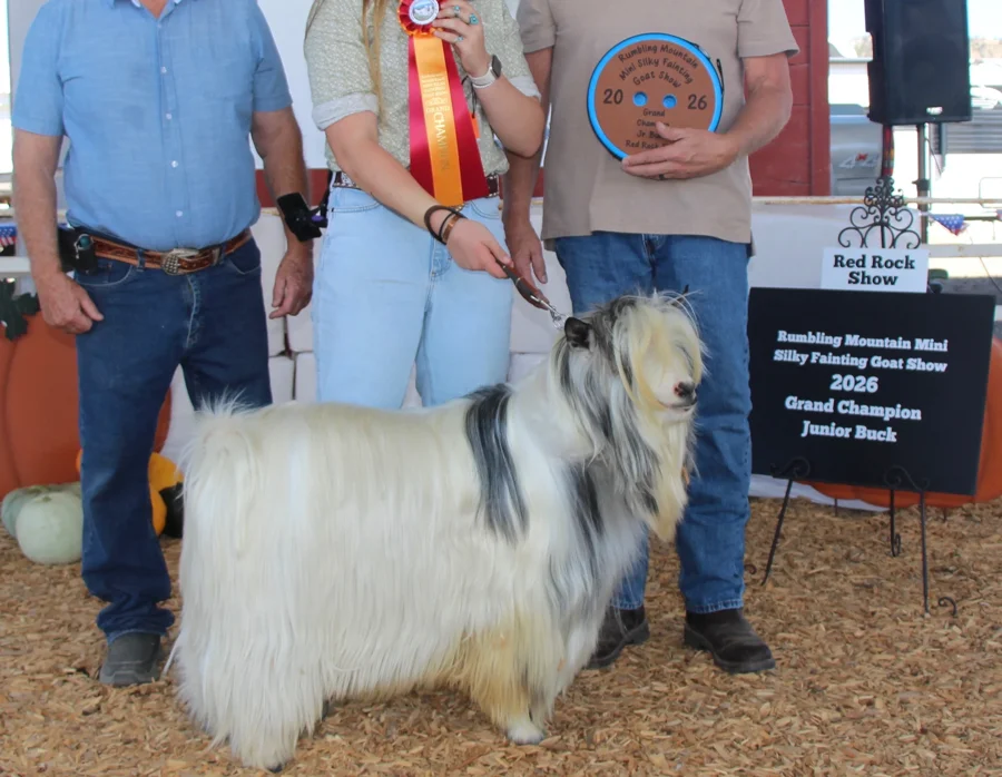 Ahsum Acres Innovator