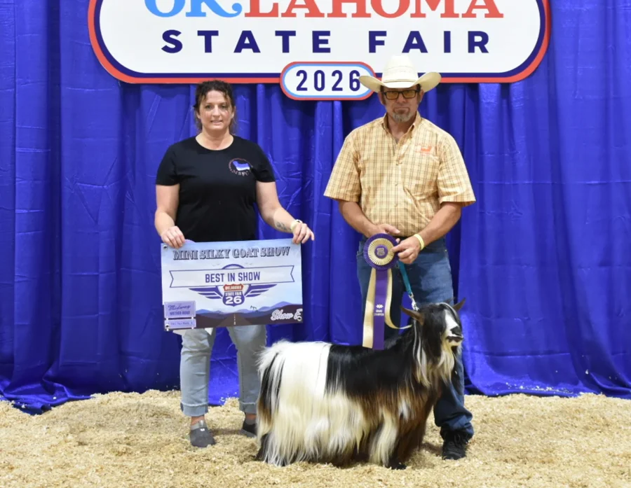 Big Sky Silkies King George