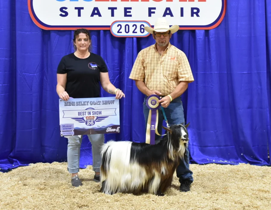 Big Sky Silkies King George