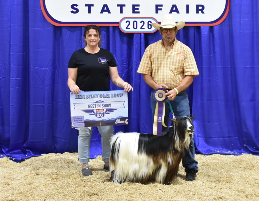 Big Sky Silkies King George
