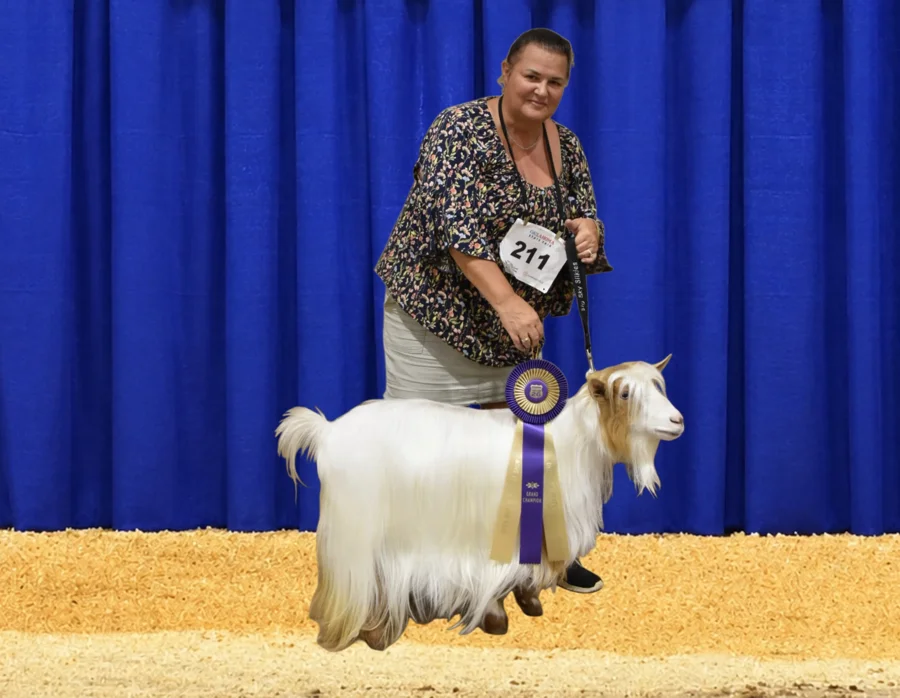 Big Sky Silkies Ellie May