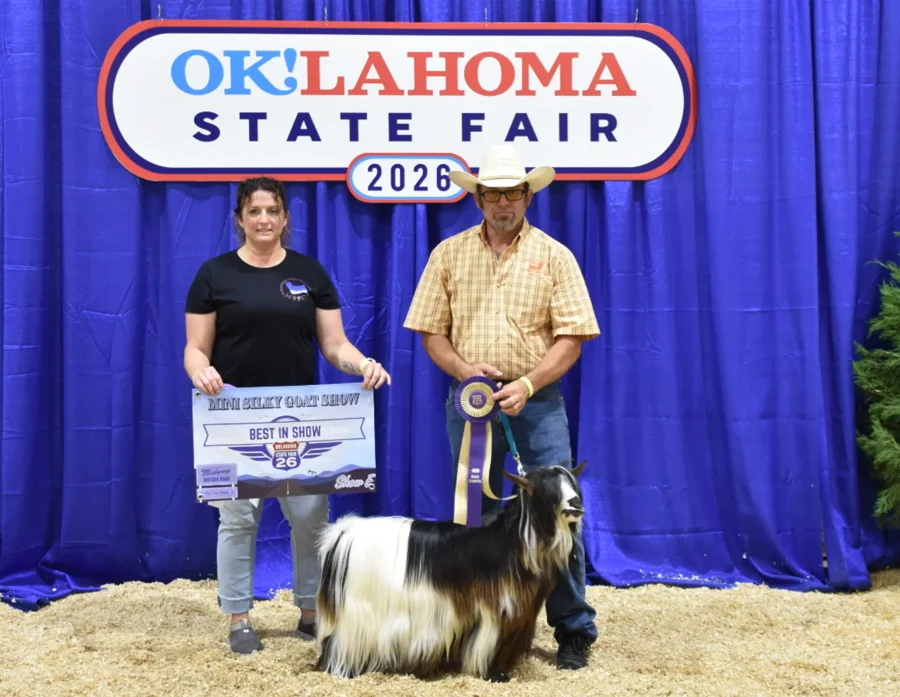 Big Sky Silkies King George