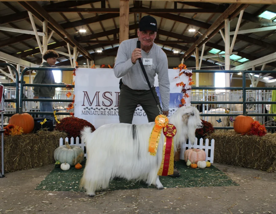 Rdreamfarms Ghost Dancer