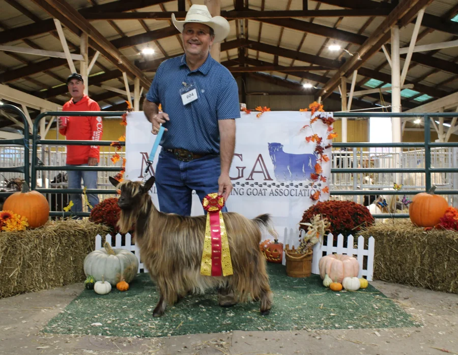 CFF3 Crown Jewel